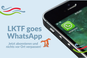 Grafik mit Aufschrift und einem Handy.